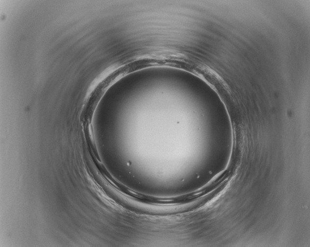 X0000061151114200511210954