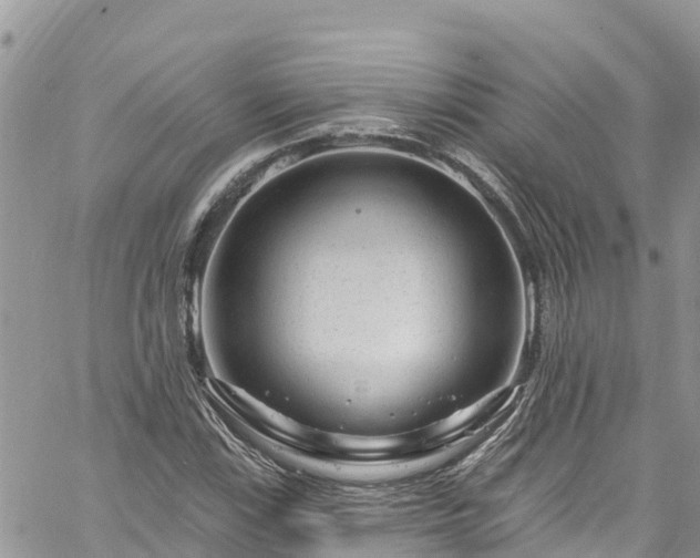 X0000061151115200511210954