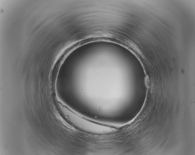 X0000061151116200511210954