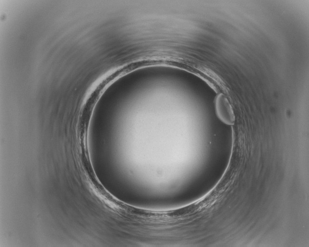 X0000061151120200511210954