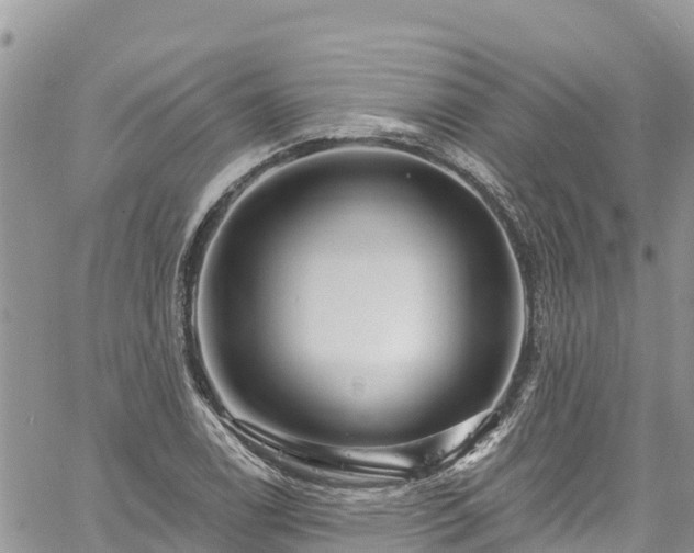 X0000061151122200511210954