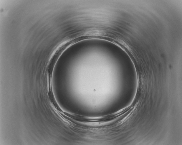 X0000061151123200511210954