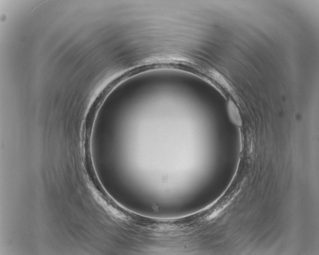 X0000061151124200511210954