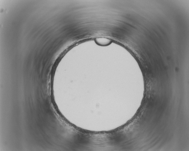 X0000061151126200511210954