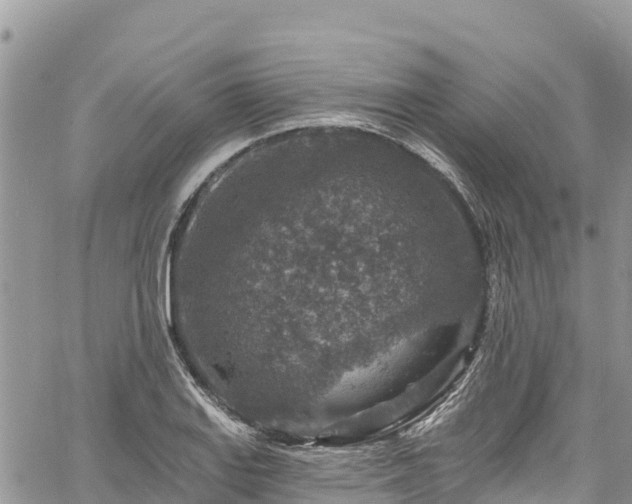 X0000061151127200511210954