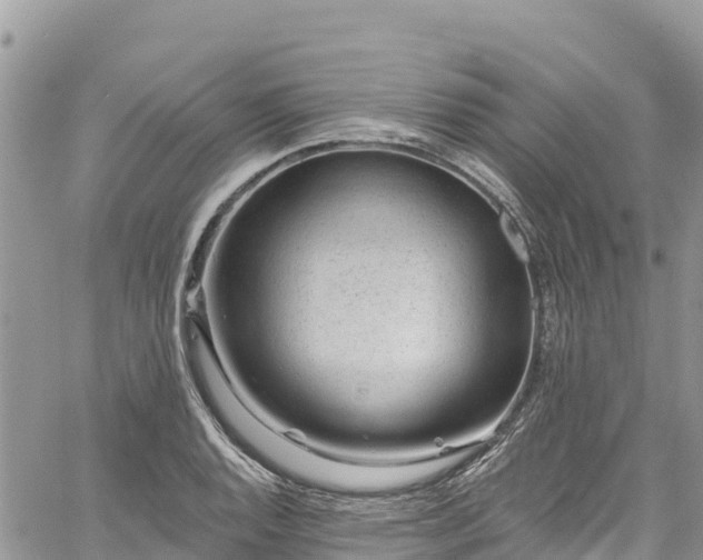 X0000061151128200511210954