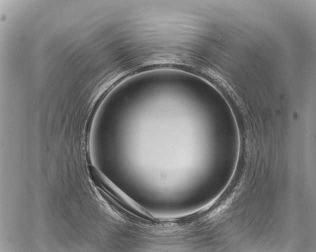 X0000061151129200511210954