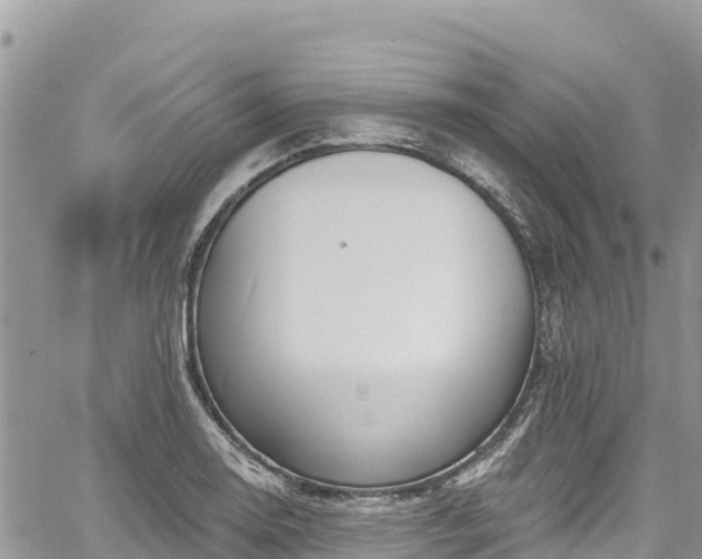 X0000061151130200511210954