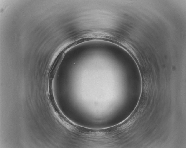 X0000061151131200511210955