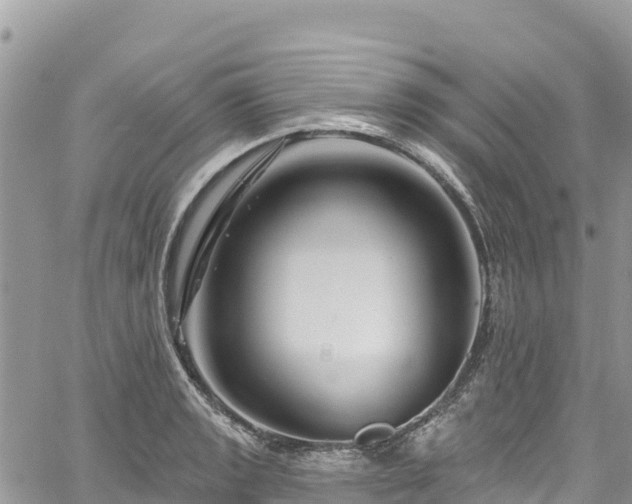 X0000061151133200511210955