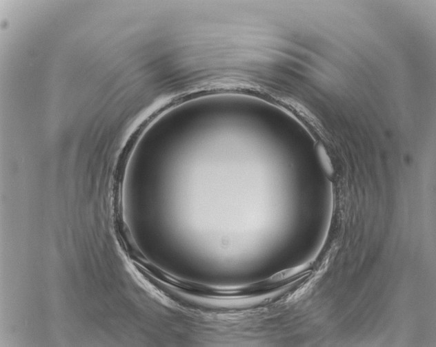 X0000061151134200511210955