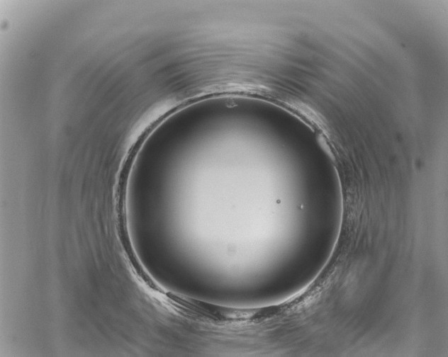 X0000061151135200511210955