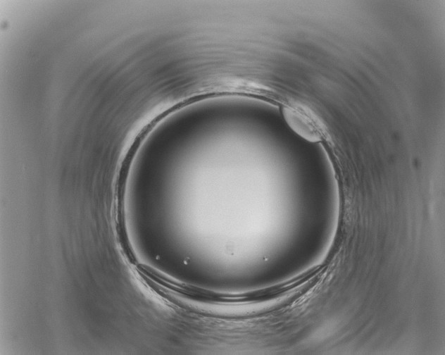 X0000061151136200511210955