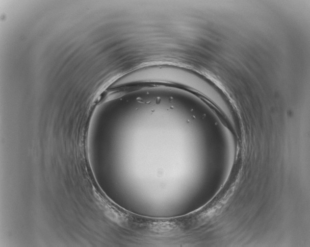 X0000061151137200511210955