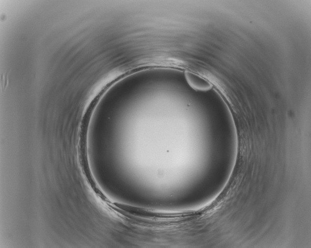 X0000061151139200511210955