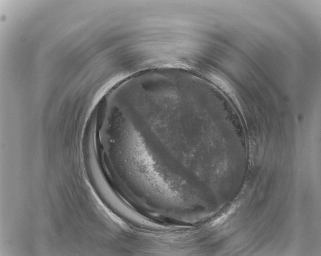 X0000061151141200511210955