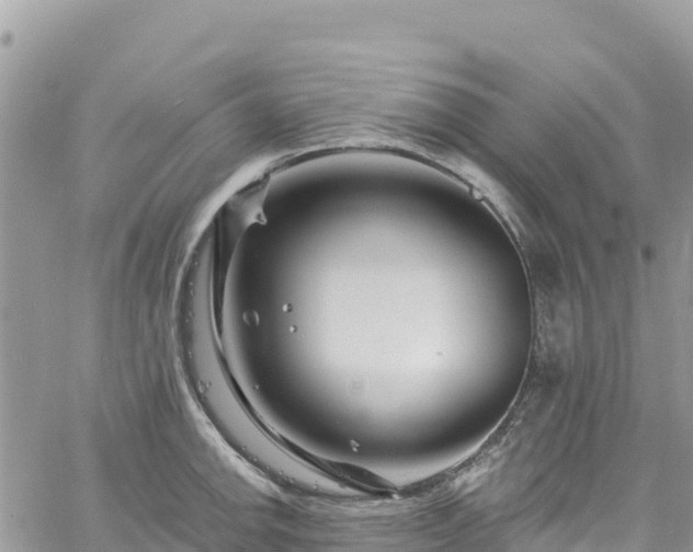 X0000061151142200511210955