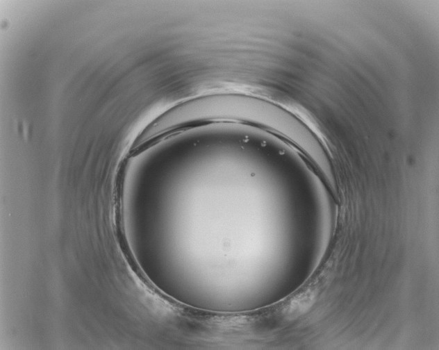 X0000061151143200511210955