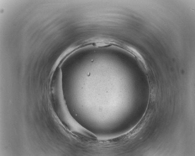 X0000061151146200511210955