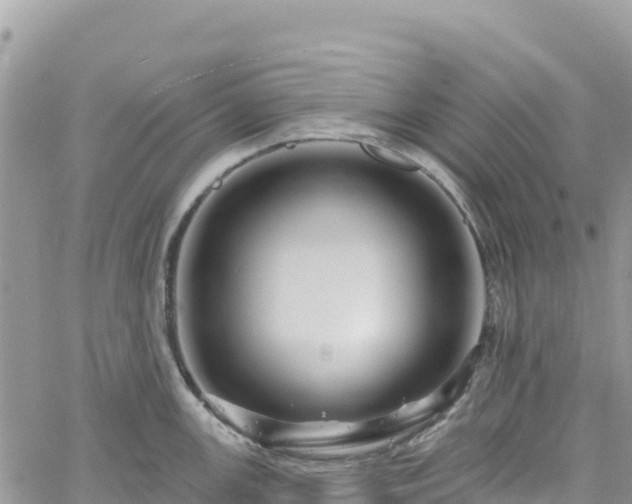 X0000061151147200511210955