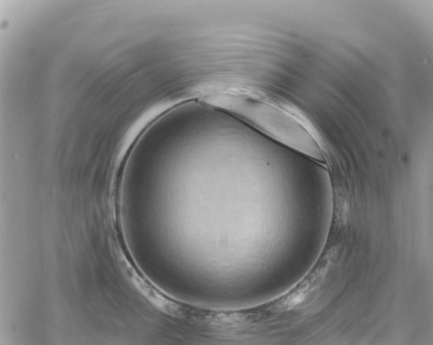 X0000061151148200511210955