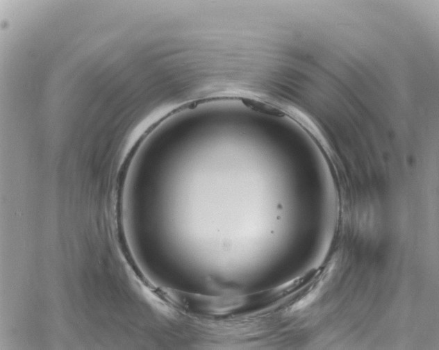 X0000061151149200511210955