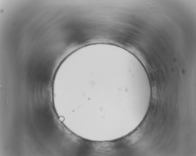 X0000061151150200511210955