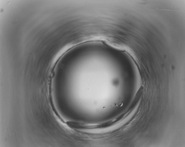 X0000061151151200511210955