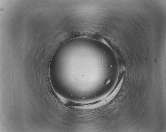 X0000061151153200511210954