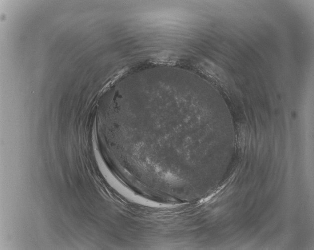 X0000061151154200511210954