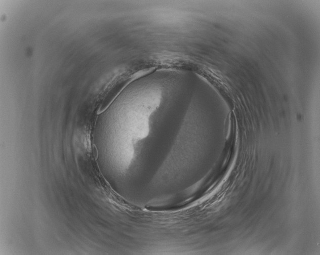 X0000061151155200511210954