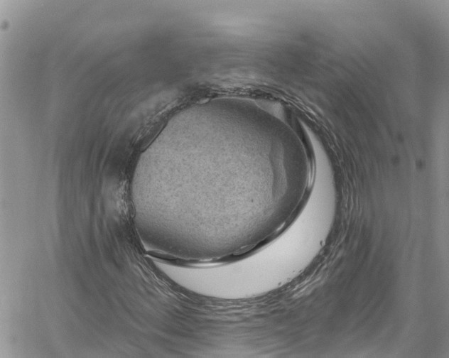 X0000061151156200511210954