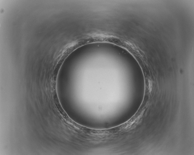 X0000061151157200511210954