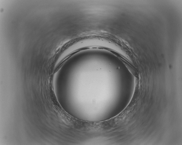 X0000061151158200511210954