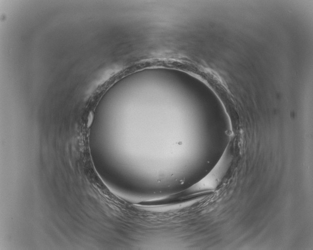 X0000061151159200511210954