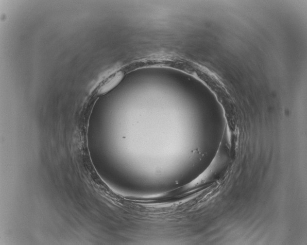 X0000061151160200511210954