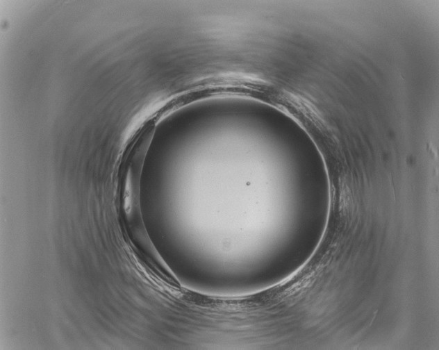 X0000061151164200511210954