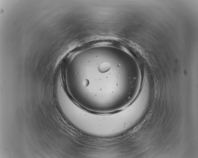 X0000061151165200511210954