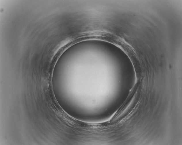 X0000061151166200511210954