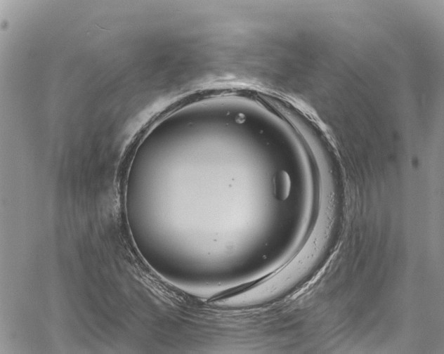 X0000061151167200511210954