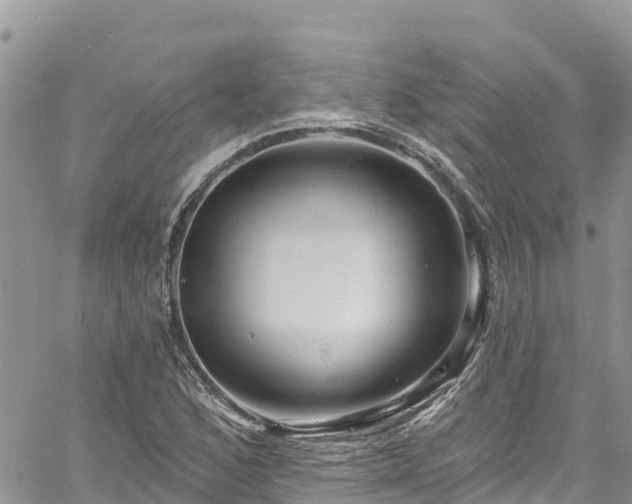 X0000061151168200511210954