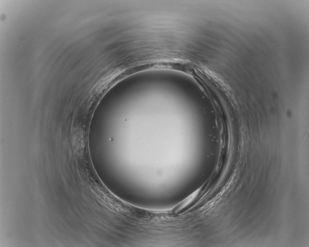 X0000061151169200511210954