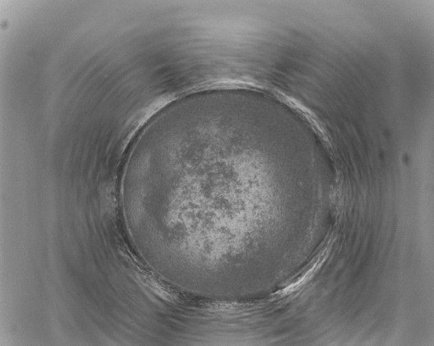 X0000061151170200511210954