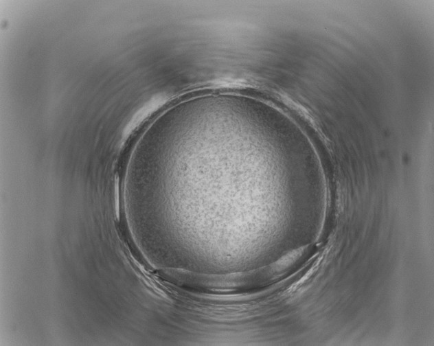 X0000061151171200511210954