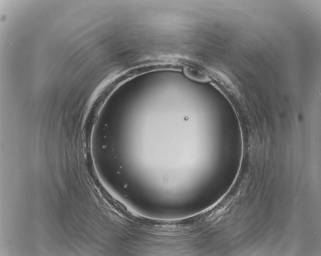 X0000061151172200511210954