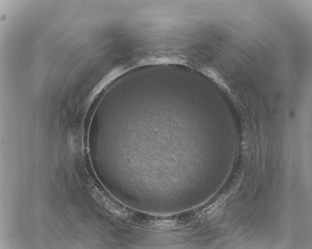 X0000061151173200511210954