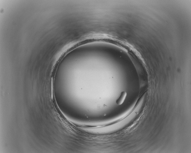 X0000061151175200511210954