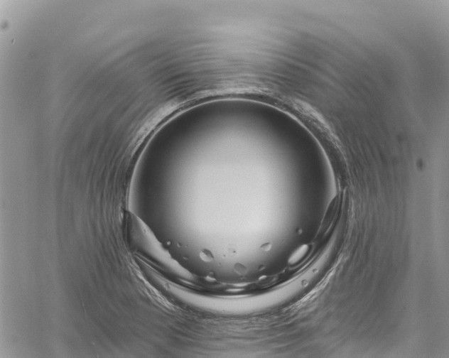 X0000061151177200511210954