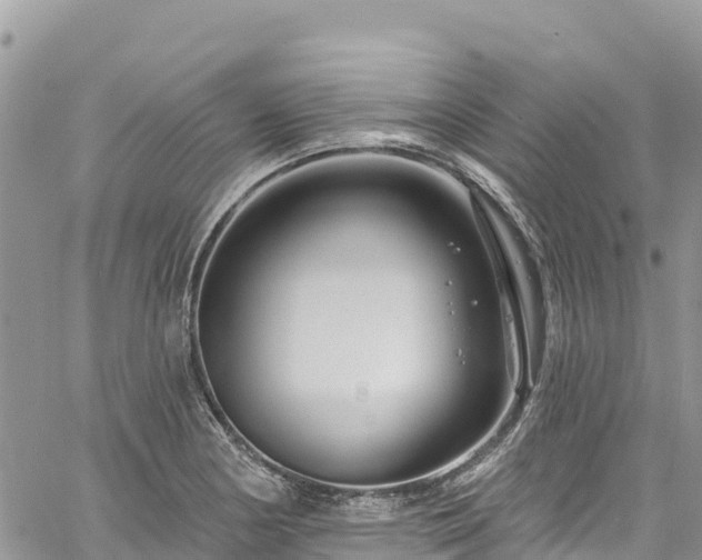 X0000061151178200511210954