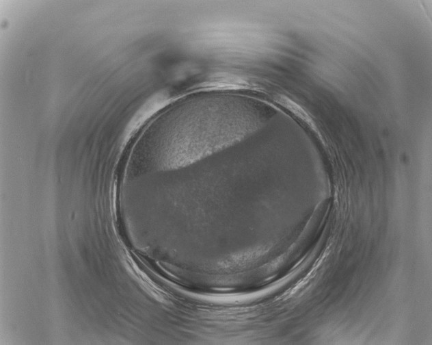 X0000061151179200511210954